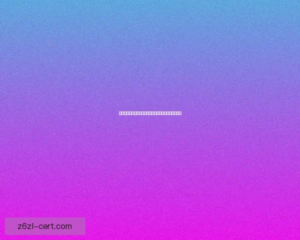 如何选择适合自己的创业加盟项目及成功的关键策略分析